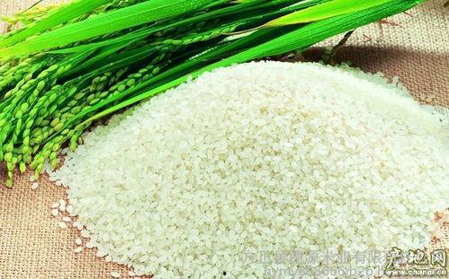 绿色大米爆料方法视频大全,视频大全解析  第1张