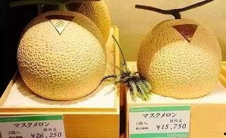 网红吃的网纹瓜,网纹瓜，口感与颜值并存的美味之旅  第1张